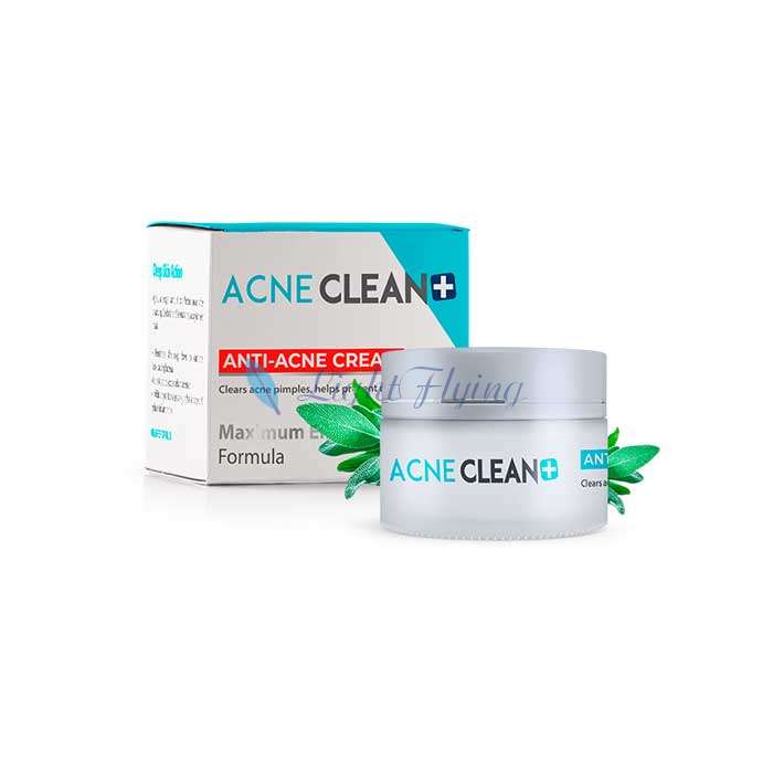 AcneClean+